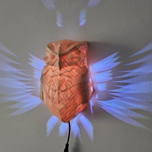 JetJest Baykuş Temalı 3D İllüzyon RGB LED Gece Lambası